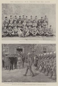 Transvaal-krigen, tropper for fronten
